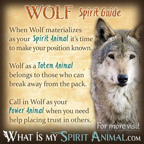Meaning Of Wolf Spirit Animal